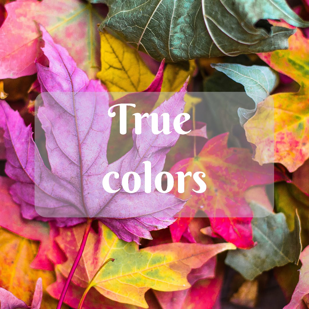 know-the-true-colors-of-colors-do-colors-affect-us-d-artmanifests